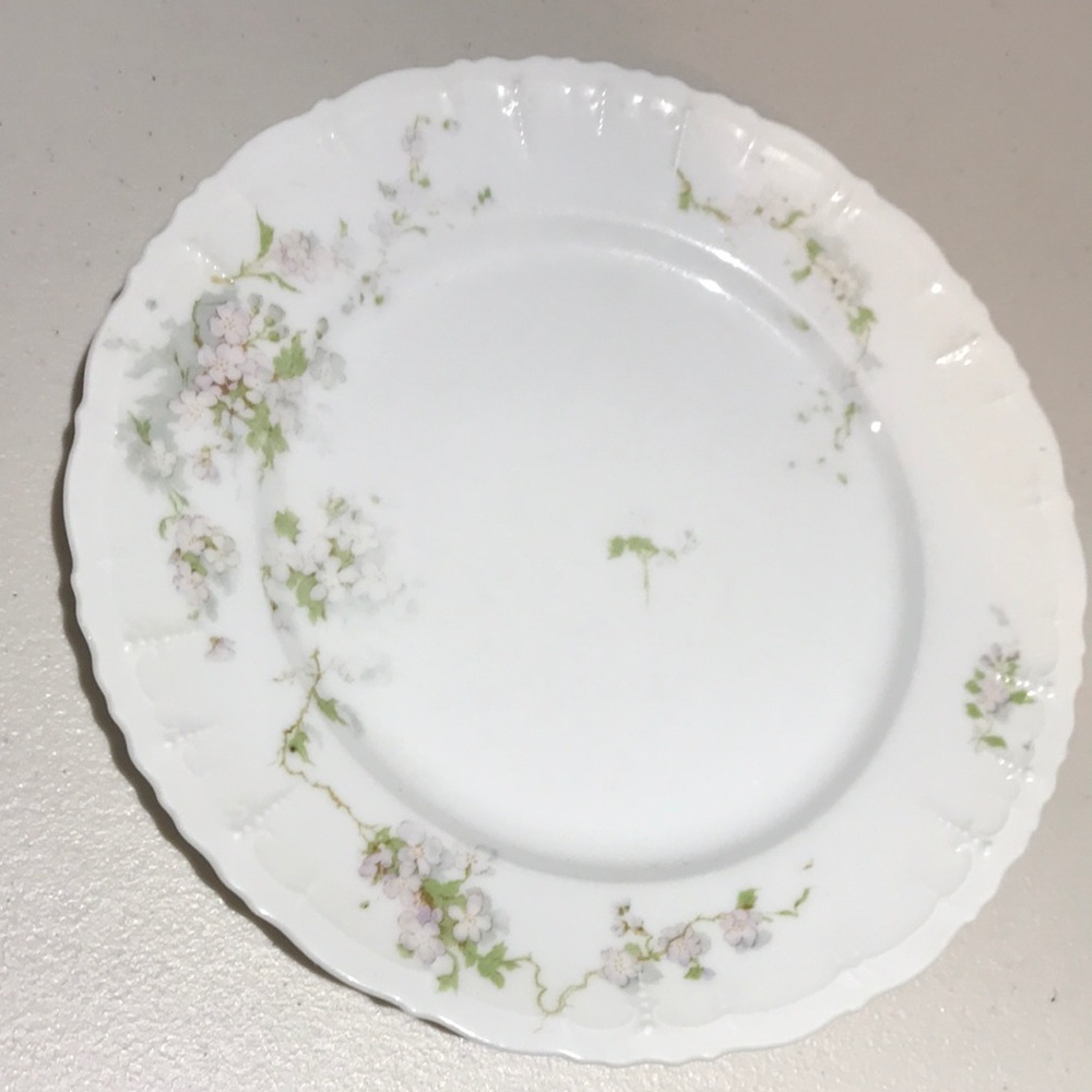Antique Habsburg China Plate Made In Austria